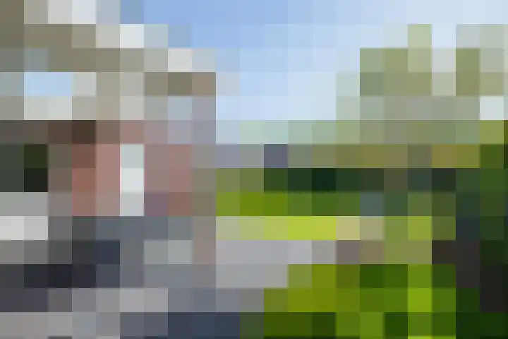 Ziggel 5 Wehl thumbnail 13