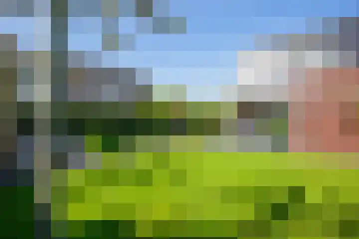 Ziggel 5 Wehl thumbnail 14