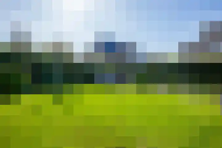Ziggel 5 Wehl thumbnail 15