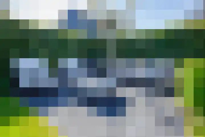 Ziggel 5 Wehl thumbnail 16
