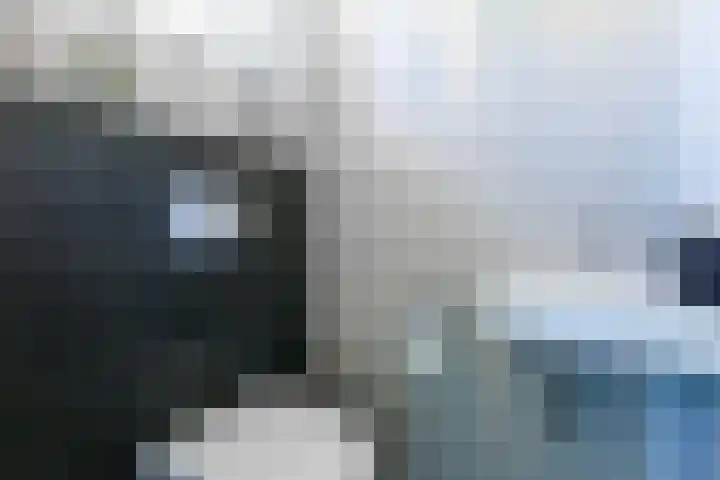 Ziggel 5 Wehl thumbnail 21