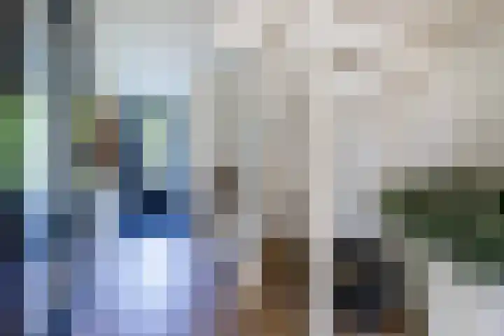 Ziggel 5 Wehl thumbnail 22