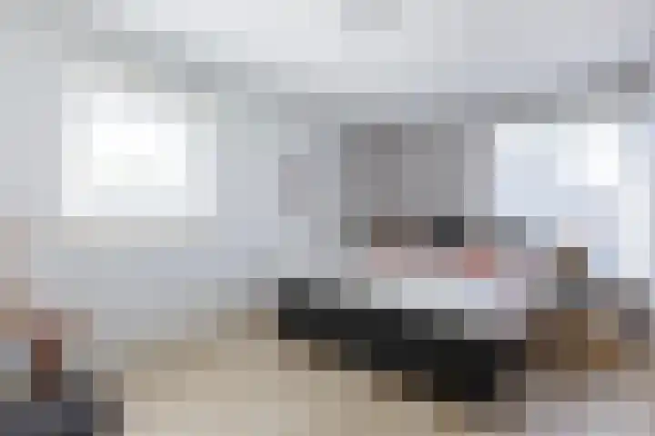 Ziggel 5 Wehl thumbnail 23