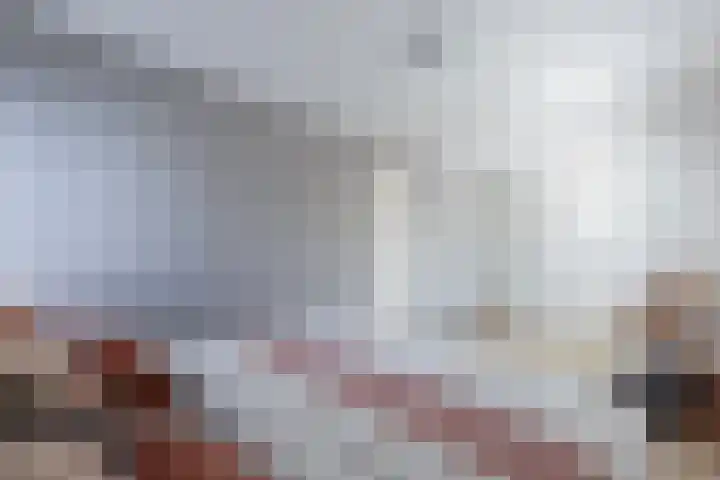 Ziggel 5 Wehl thumbnail 24