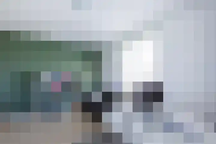 Ziggel 5 Wehl thumbnail 29