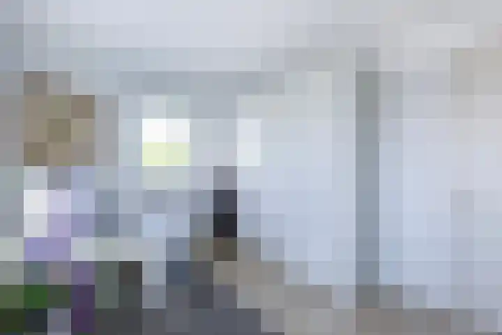 Ziggel 5 Wehl thumbnail 30