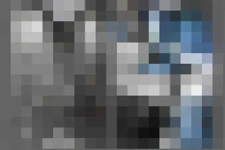 Ziggel 5 Wehl thumbnail 32