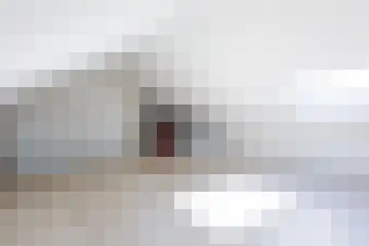 Ziggel 5 Wehl thumbnail 34