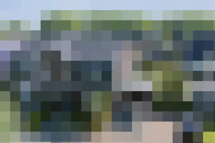 Ziggel 5 Wehl thumbnail 38