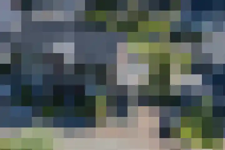 Ziggel 5 Wehl thumbnail 39