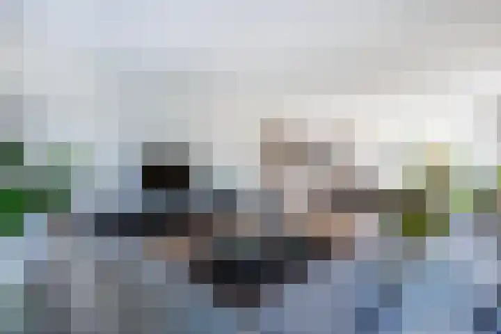 Ziggel 5 Wehl thumbnail 4