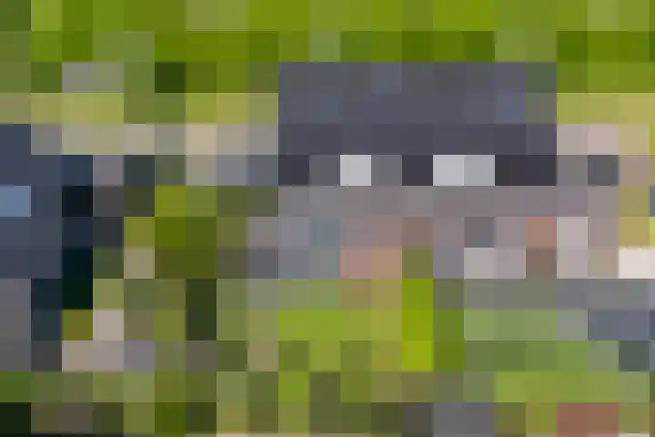 Ziggel 5 Wehl thumbnail 41
