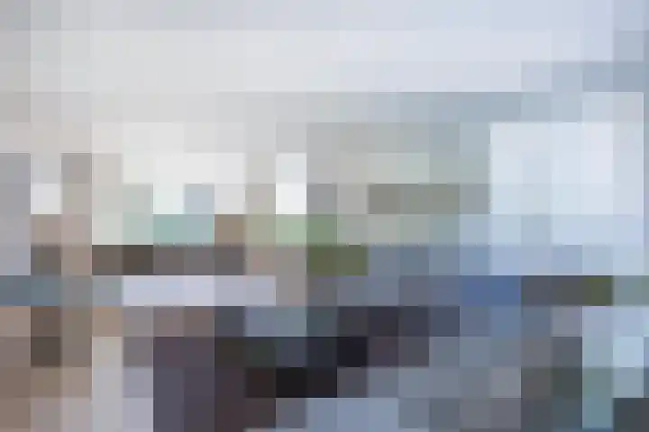 Ziggel 5 Wehl thumbnail 5