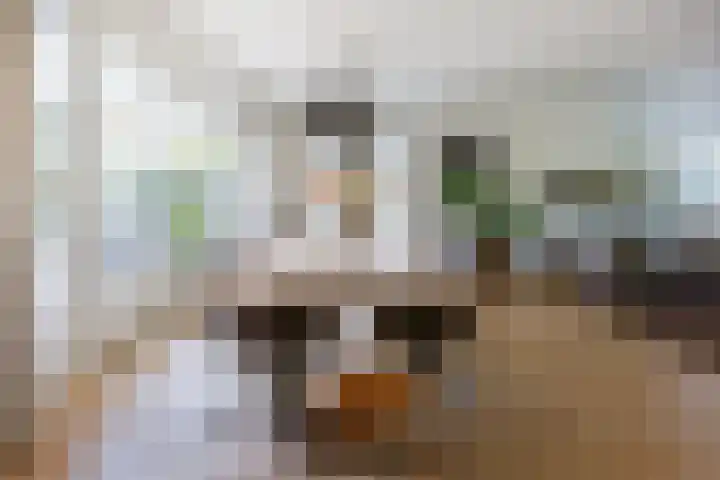 Ziggel 5 Wehl thumbnail 6
