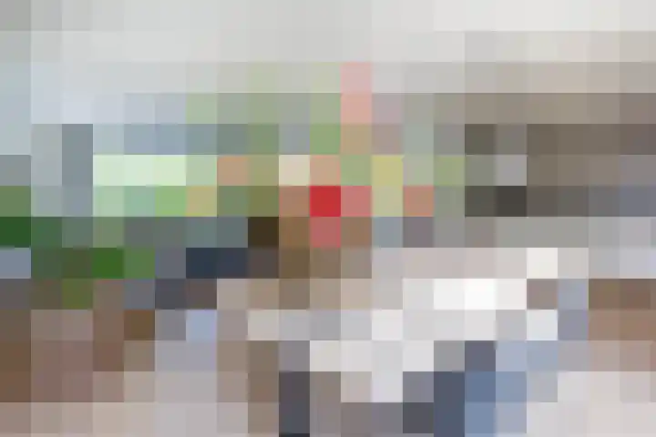 Ziggel 5 Wehl thumbnail 7