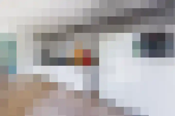 Ziggel 5 Wehl thumbnail 8