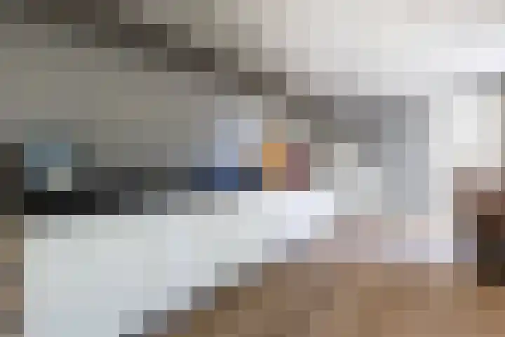 Ziggel 5 Wehl thumbnail 9