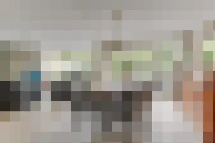 Zigt 41 Warmenhuizen thumbnail 12