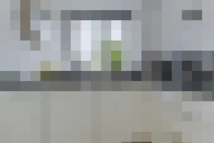 Zigt 41 Warmenhuizen thumbnail 15