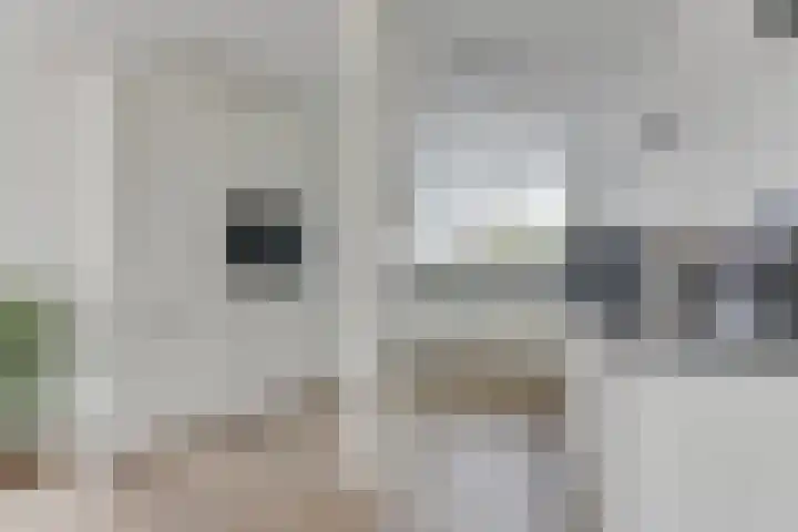 Zigt 41 Warmenhuizen thumbnail 18