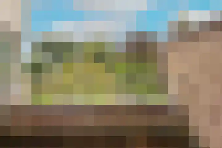 Zigt 41 Warmenhuizen thumbnail 25