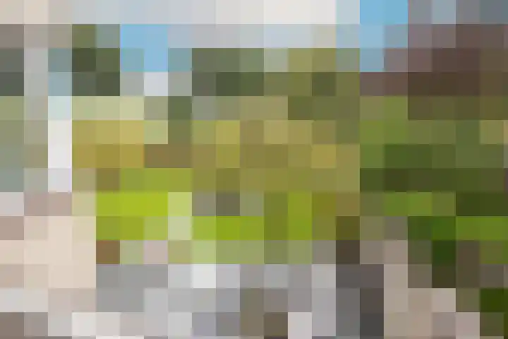 Zigt 41 Warmenhuizen thumbnail 26
