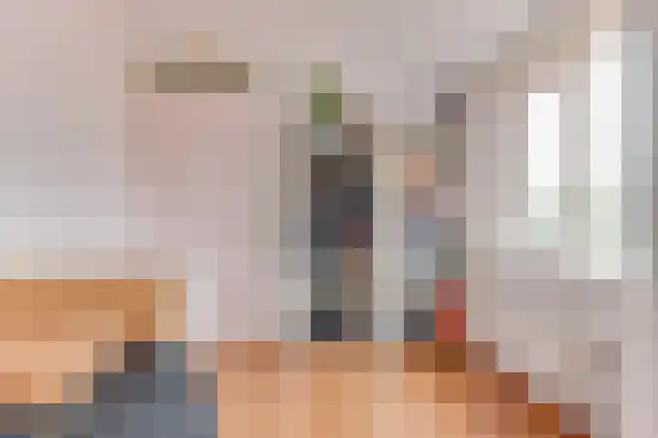 Zigt 41 Warmenhuizen thumbnail 29