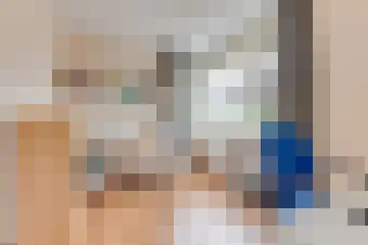 Zigt 41 Warmenhuizen thumbnail 30