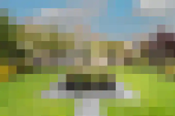 Zigt 41 Warmenhuizen thumbnail 36