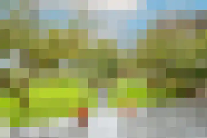 Zigt 41 Warmenhuizen thumbnail 37