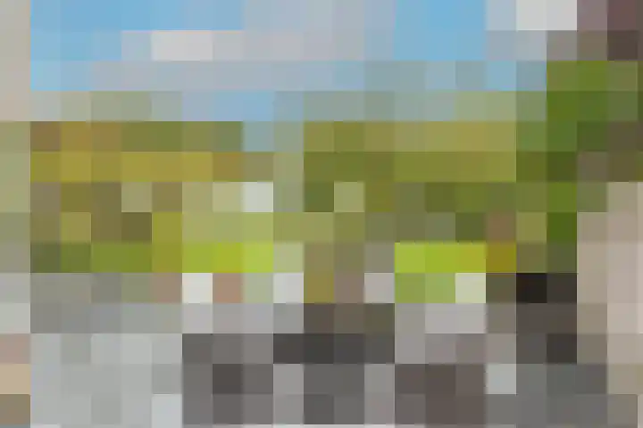 Zigt 41 Warmenhuizen thumbnail 38