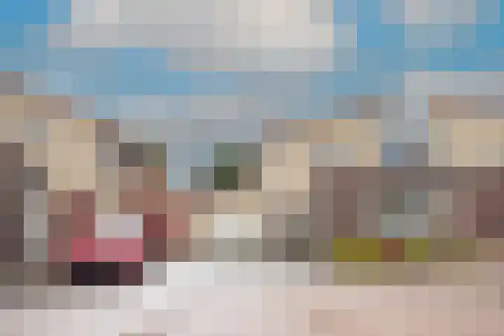 Zigt 41 Warmenhuizen thumbnail 4