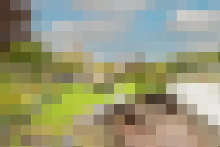 Zigt 41 Warmenhuizen thumbnail 42