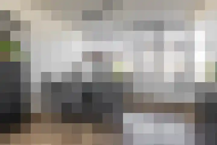 Zigzagoven 95 Delfzijl thumbnail 13
