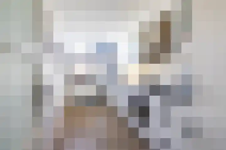 Zigzagoven 95 Delfzijl thumbnail 16