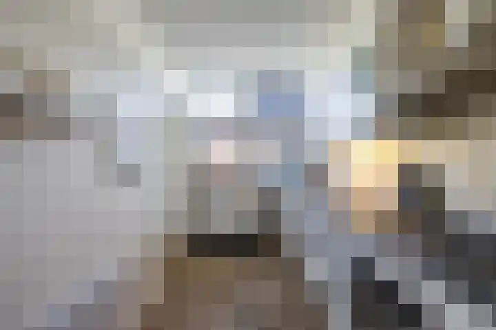 Zigzagoven 95 Delfzijl thumbnail 17