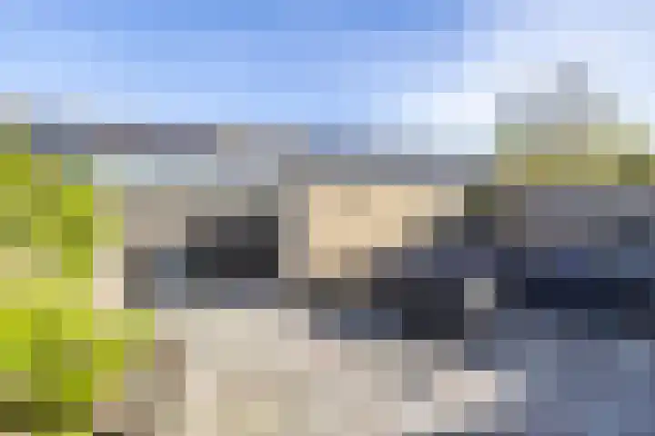 Zigzagoven 95 Delfzijl thumbnail 44
