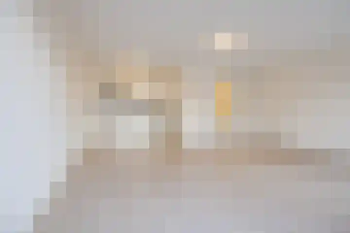 Zijde 46 A Boskoop thumbnail 12
