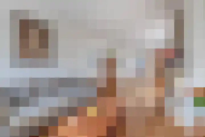 Zijde 75 Boskoop thumbnail 13