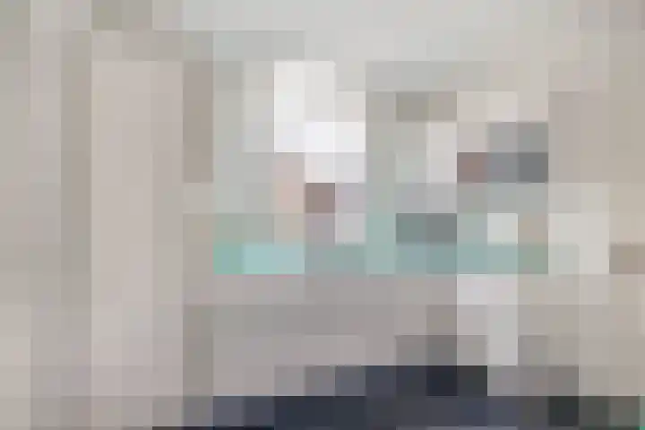 Zijde 75 Boskoop thumbnail 22