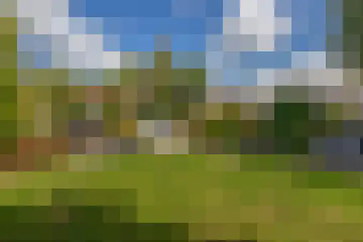 Zijde 75 Boskoop thumbnail 32