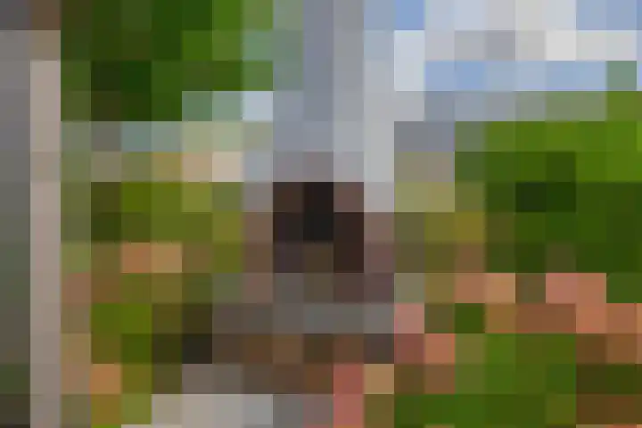 Zijde 75 Boskoop thumbnail 35