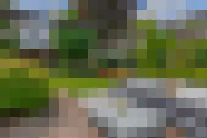 Zijde 75 Boskoop thumbnail 36