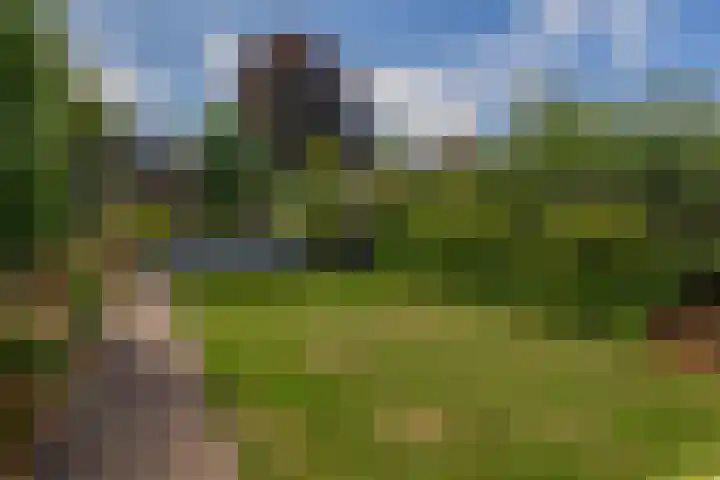 Zijde 75 Boskoop thumbnail 37