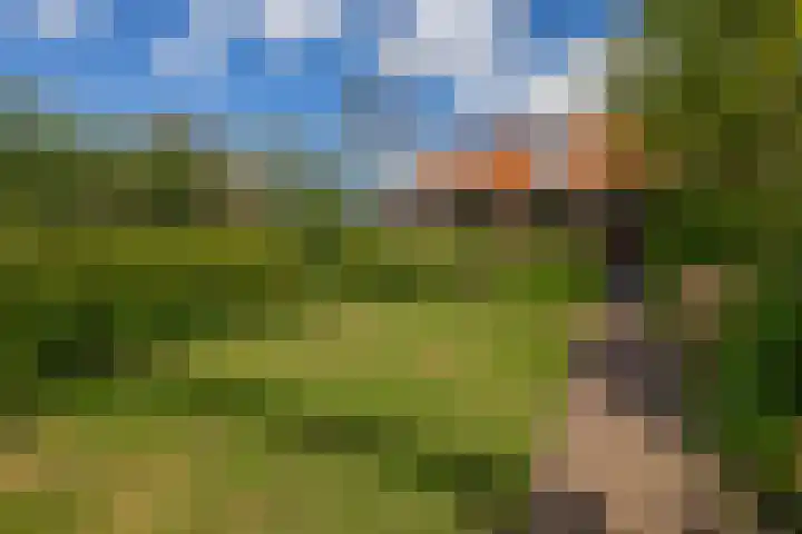 Zijde 75 Boskoop thumbnail 4