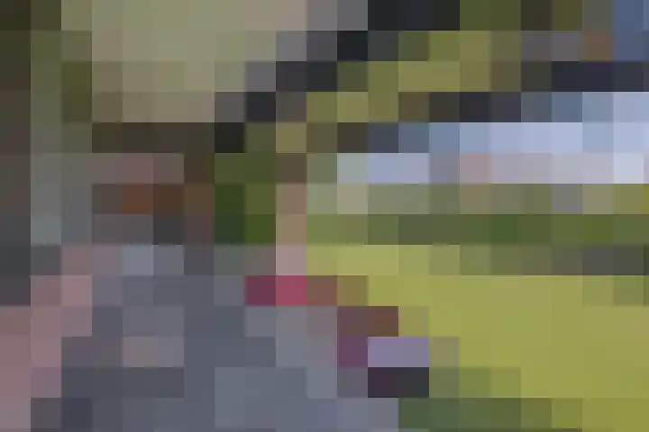 Zijde 75 Boskoop thumbnail 40