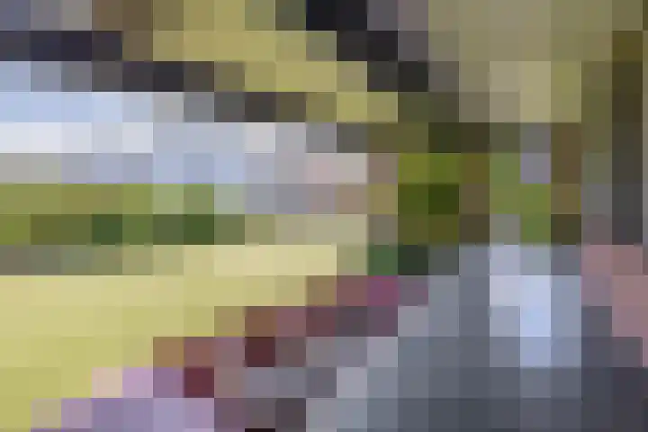 Zijde 75 Boskoop thumbnail 41