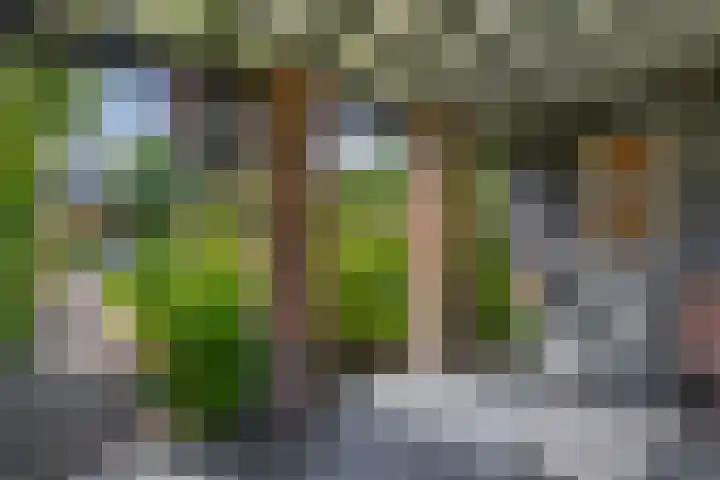 Zijde 75 Boskoop thumbnail 42