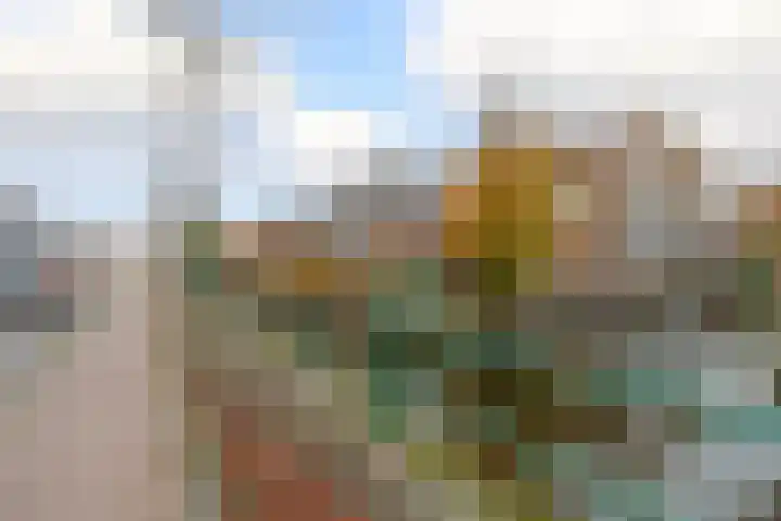 Zijde 75 Boskoop thumbnail 5