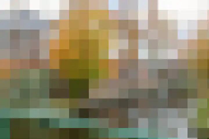 Zijde 75 Boskoop thumbnail 6